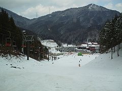DSC01000