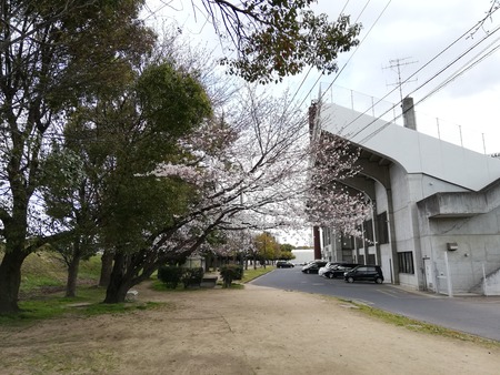 2019-03-31 13.43.38