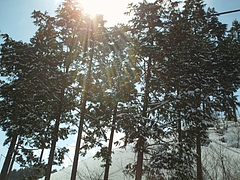 DSC00967