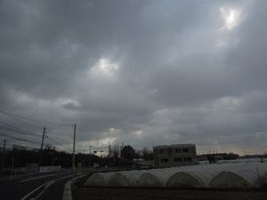 2015-01-17 13.19.26.jpg 2015 01 17 13 19 26