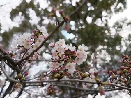 2019-03-31 13.44.27