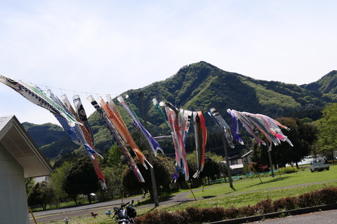 P1000355
