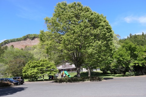 P1000354