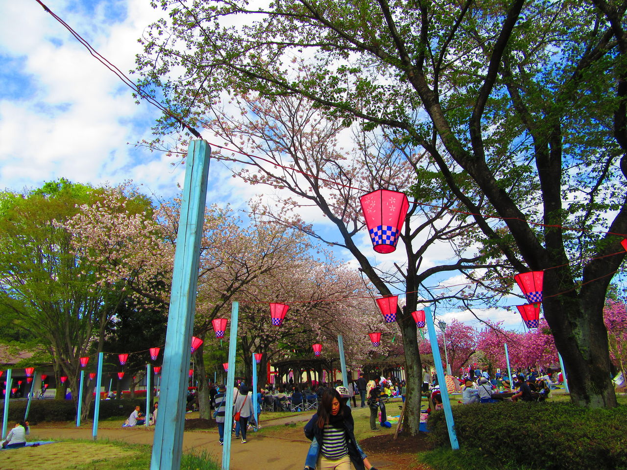 下野市天平の丘公園 第３８回天平の花まつり おじんレノンです