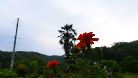 P1004791
