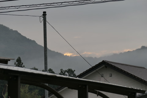 P1001586