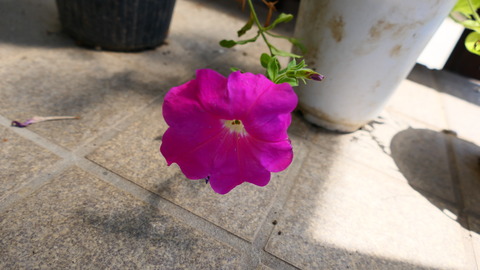 P1004917