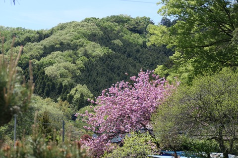 P1000346
