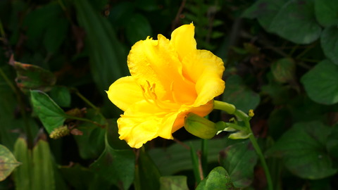 P1004914