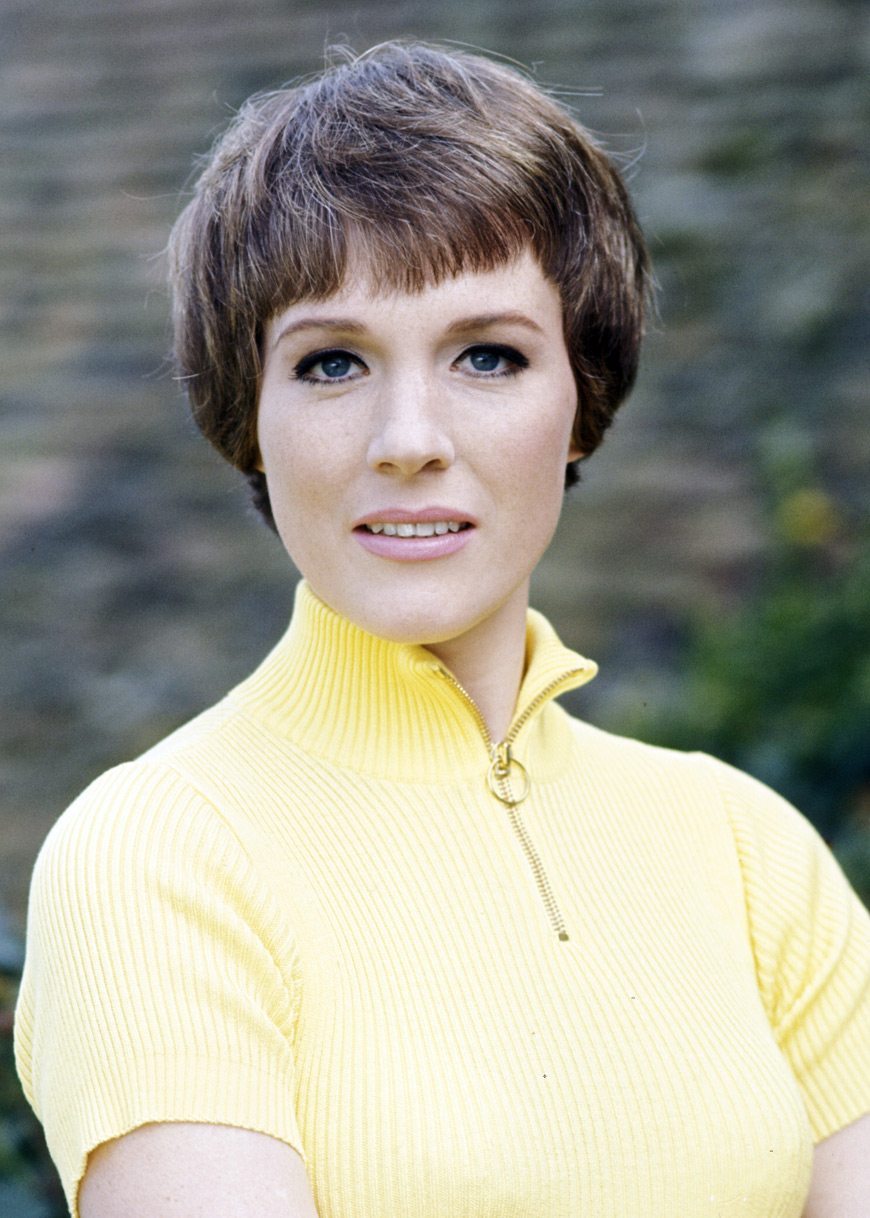 Julie Andrews The Sound Of Music やさしいthe Beatles入門 Julie Andrews The Sound Of Music やさしいthe Beatles入門