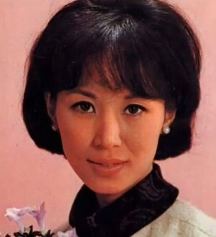 西田佐知子 エリカの花散るとき やさしいthe Beatles入門
