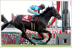 ラストインパクト
