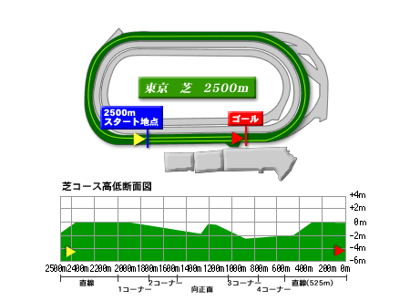 東京芝2500ｍ