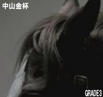 トラコミュ