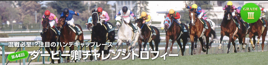 第44回ダービー卿ct 12年 予想 タガノエルシコ やはり勝負は3連単 競馬予想