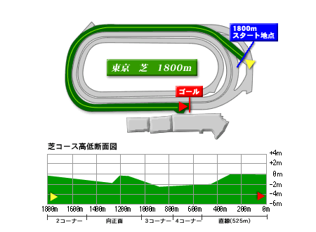 東京芝1800ｍ