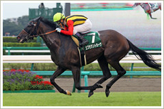 エクセラントカーヴ
