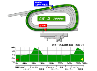 芝3000ｍ(外)