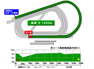 芝1800ｍ(外)