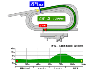 芝1200ｍ(内)