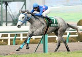 クロフネサプライズ