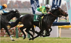 東京スポーツ杯2歳S　2014　サトノクラウン