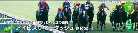 アイビスサマーD 2014
