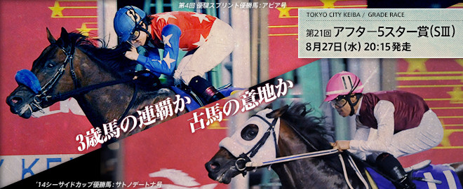 アフター5スター賞 大井 2014 過去10年間の1 3着馬とデータ 傾向 やはり勝負は3連単 競馬予想