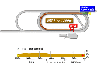 ダート1200ｍ