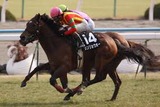 ランリョウオー