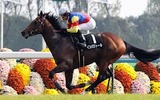 インパラトール