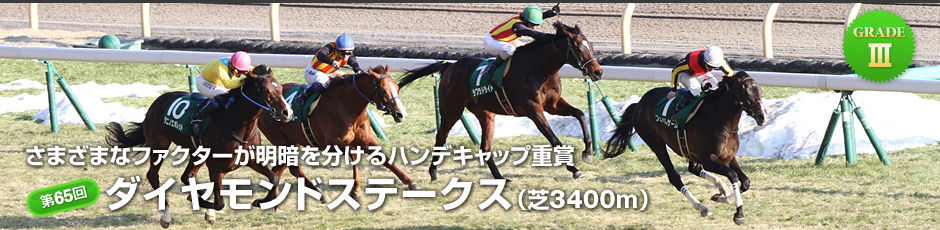 Someday Sureダイヤモンドステークス2015/レース結果:フェイムゲーム(動画・騎手コメント)