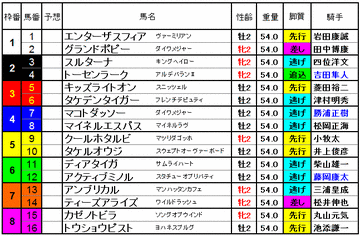 函館２歳S　2014　出馬表