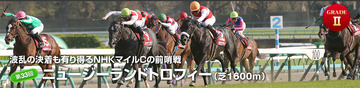 ニュージーランドT 2015