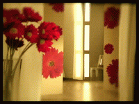 日本じゃ放送禁止 Gif Place For Your Eyes Only 日本じゃ放送禁止 Gif Place For Your Eyes Only