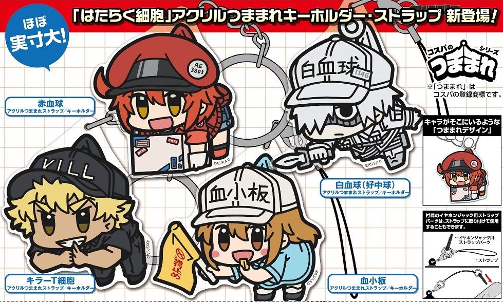 予約受付 はたらく細胞 Beatworkshopのblog