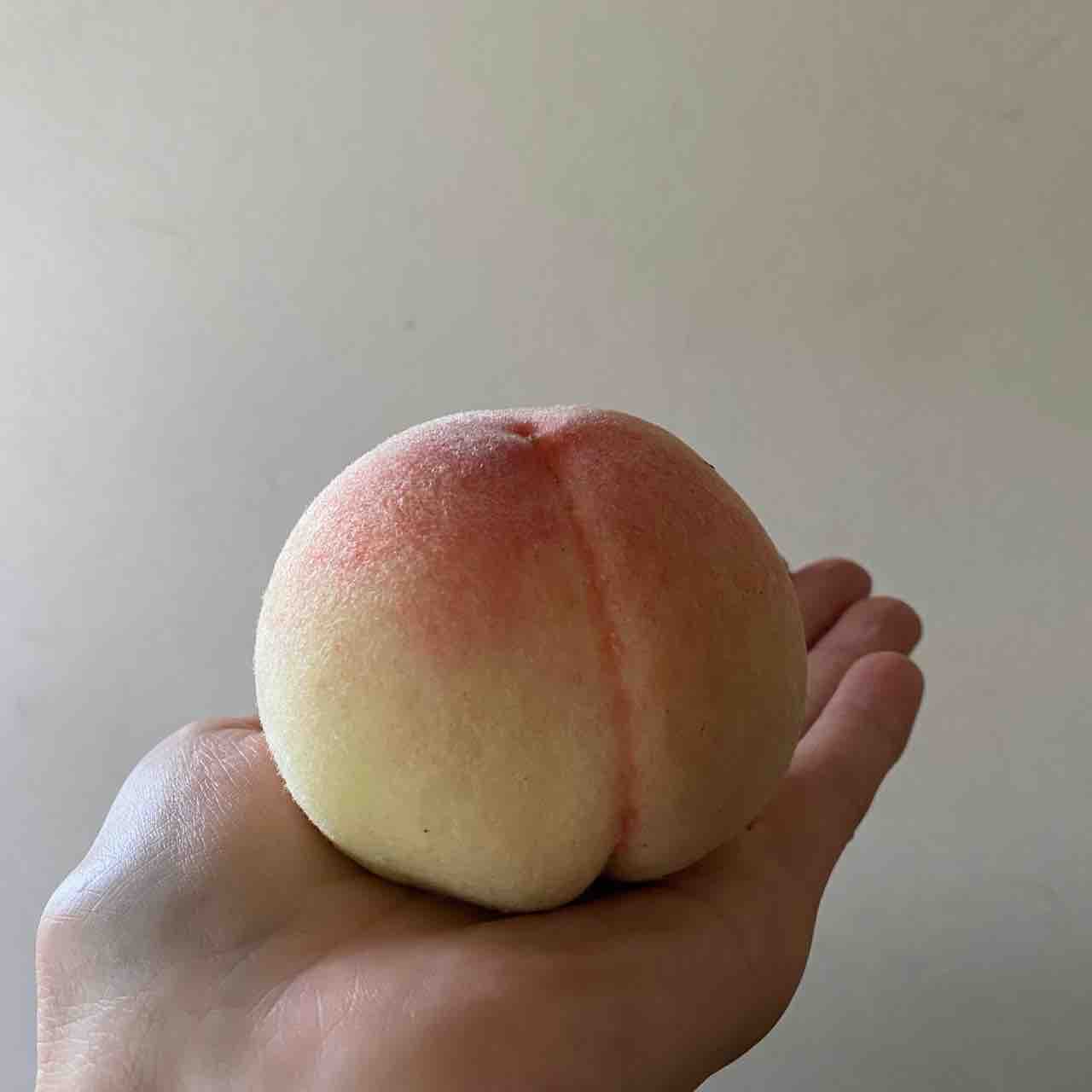 FullSizeRender