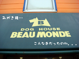 DSC07572のコピー