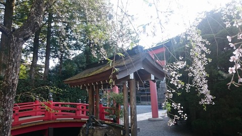 13035624_1158475300864325_1150381341_o