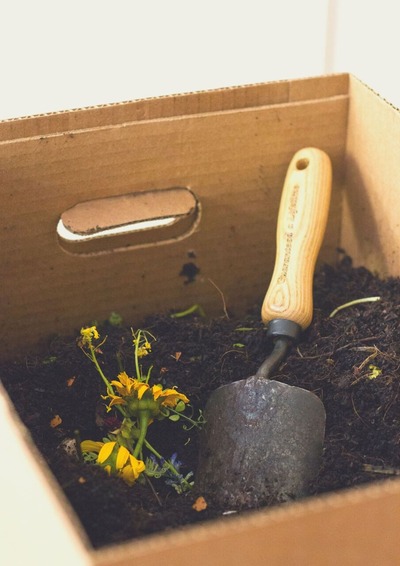 Green Dots Christmas Personal Poster