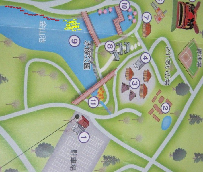 常陸風土記の丘の大賀ハス 茨城県 石岡市 花枝のおでかけ 常陸風土記の丘の大賀ハス 茨城県 石岡市 花枝のおでかけ