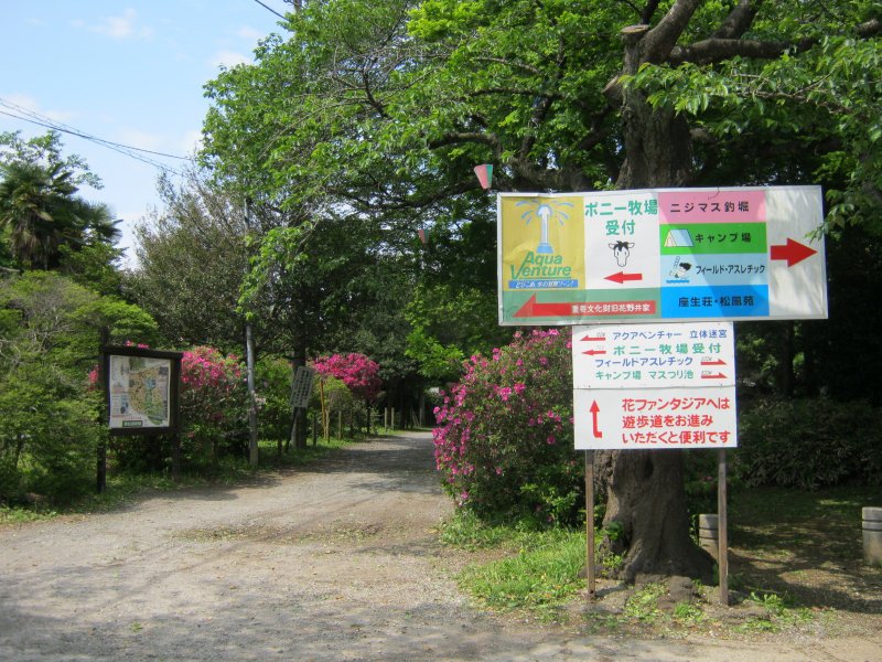 清水公園 花ファンタジア 千葉県 野田市 花枝のおでかけ