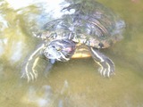 DSCF0010