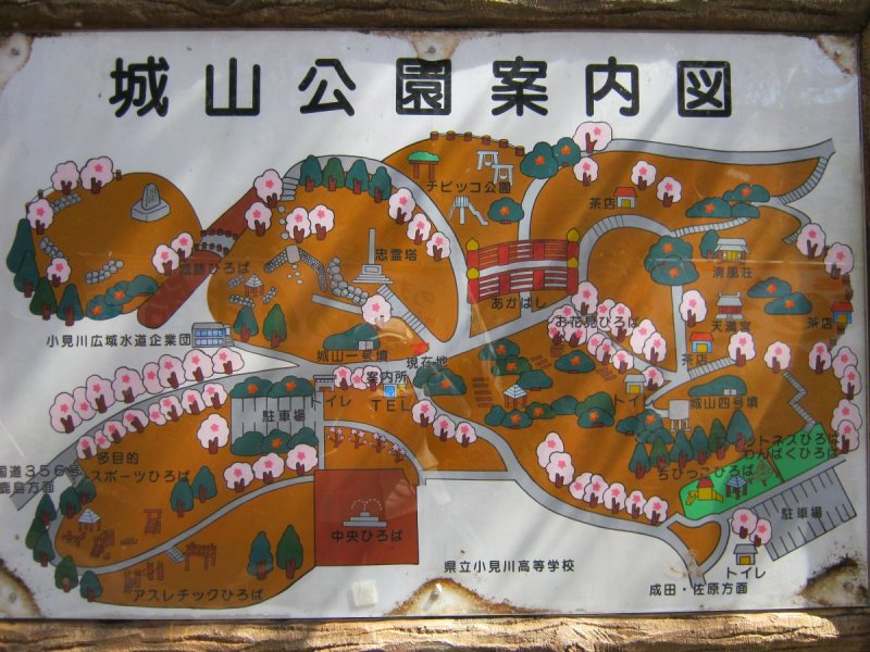 小見川 城山公園の桜 茨城県 香取市 花枝のおでかけ