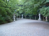 DSCF0005
