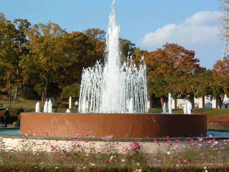 茨城県植物園の秋の薔薇 茨城県 那珂市 花枝のおでかけ