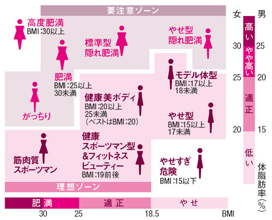 理想 女性 脂肪 体 率