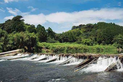 柴井堰（鹿児島県・川原園井堰）