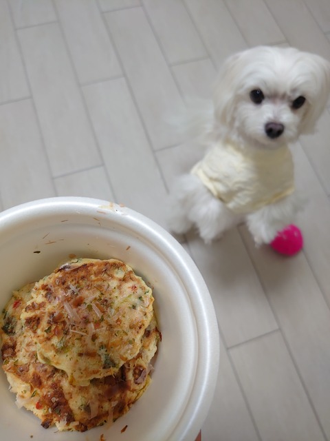 DSCPDC_0003_BURST20200329160902251_COVER