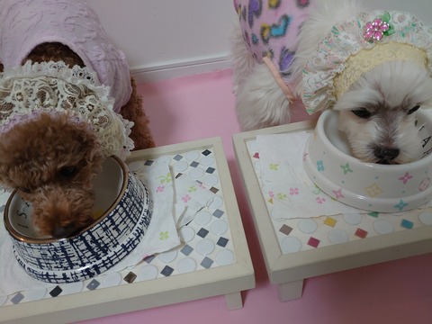 DSCPDC_0000_BURST20191212193604439